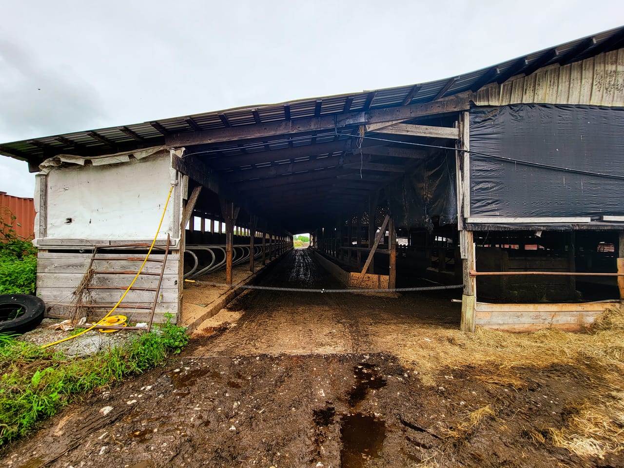 Listing Image 16