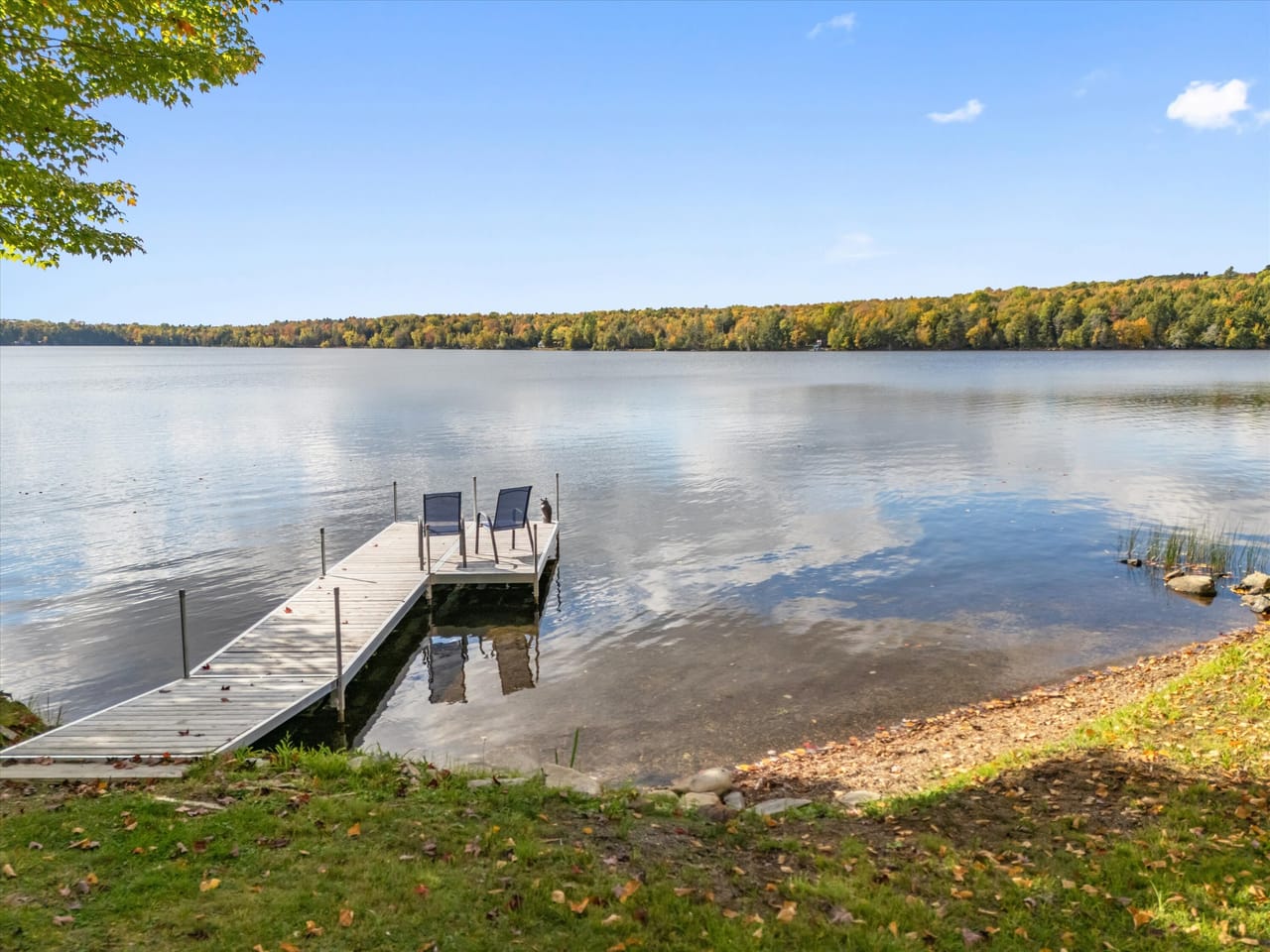 Listing Image 82