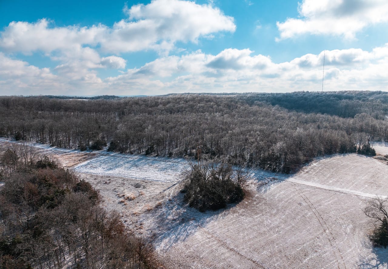 Listing Image 80