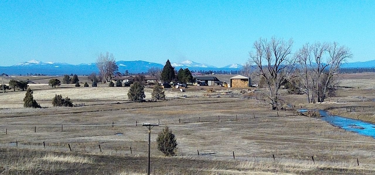 Listing Image 376