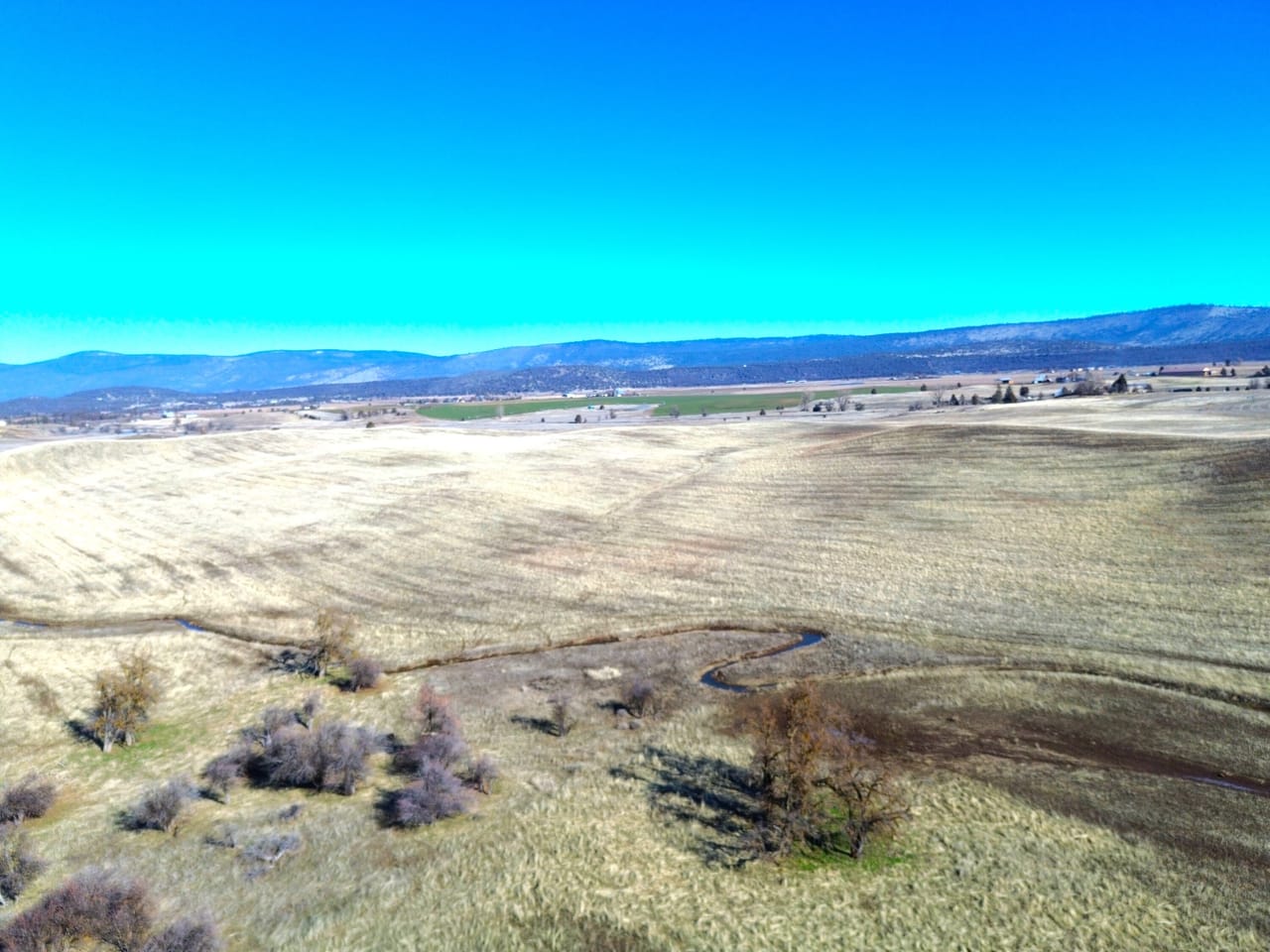 Listing Image 389