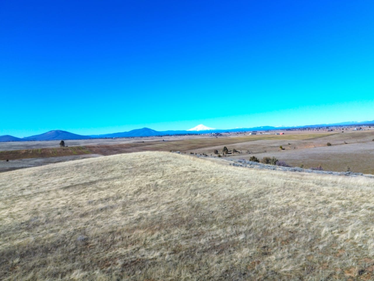 Listing Image 403