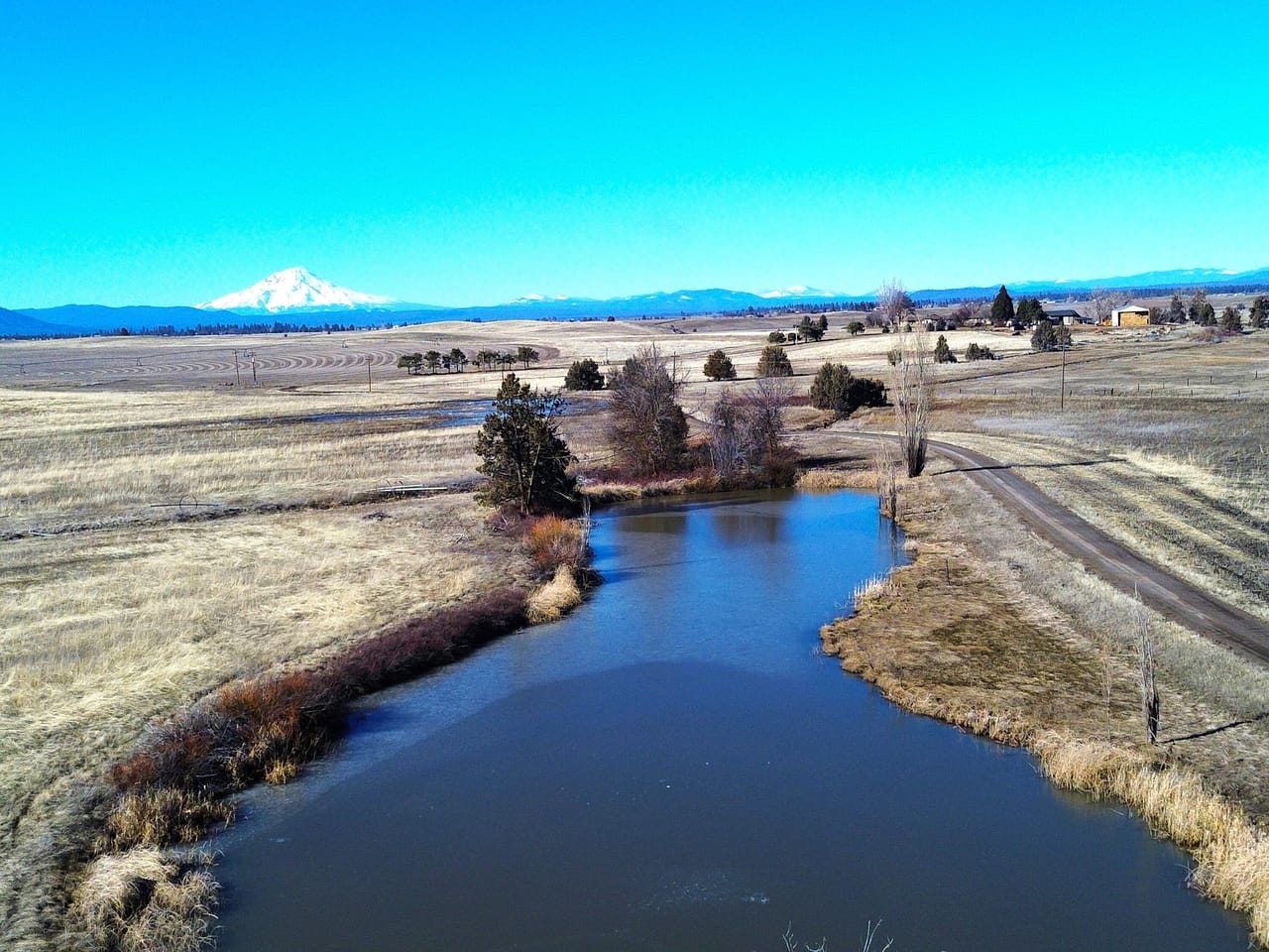 Listing Image 155