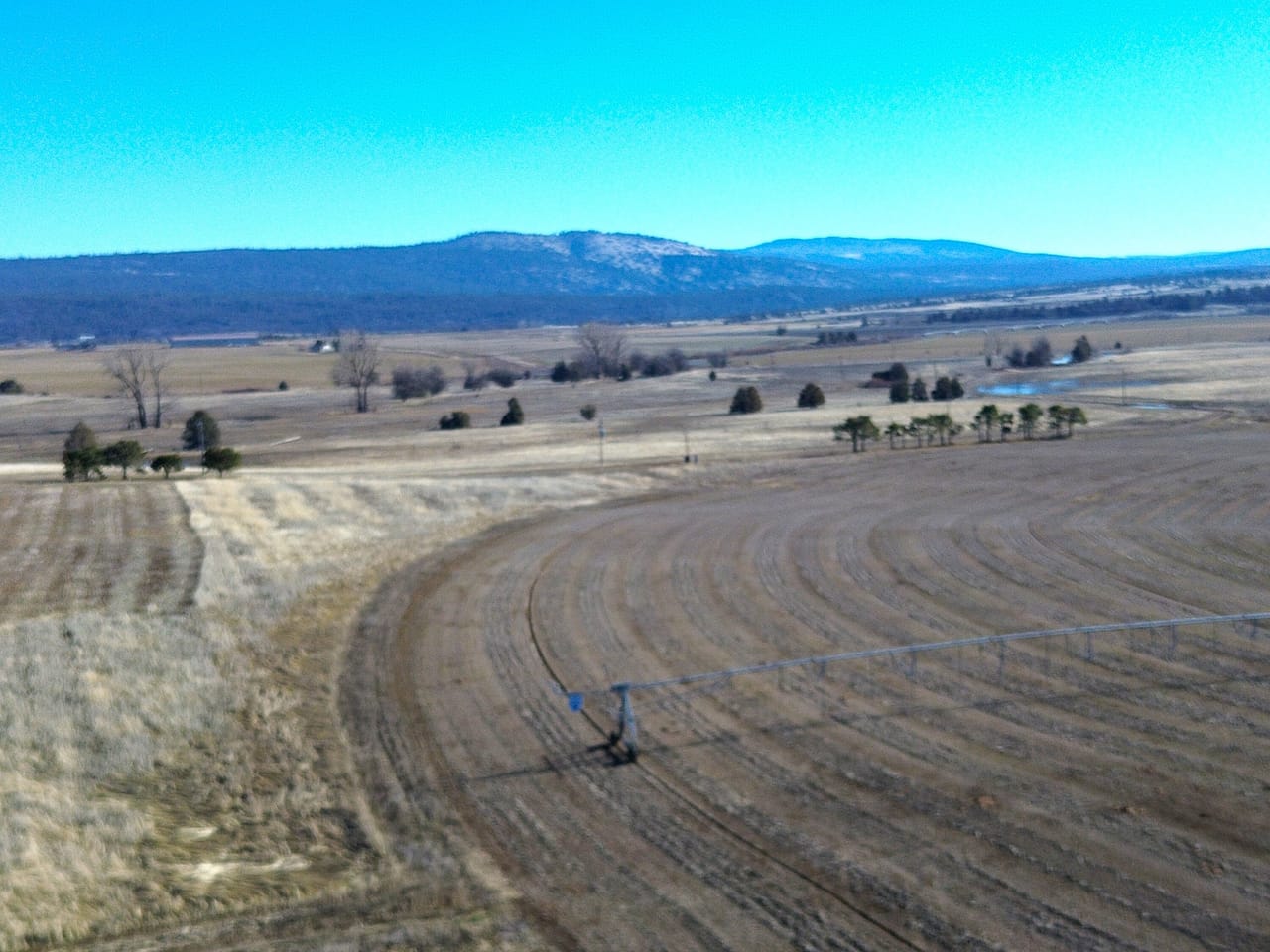 Listing Image 187