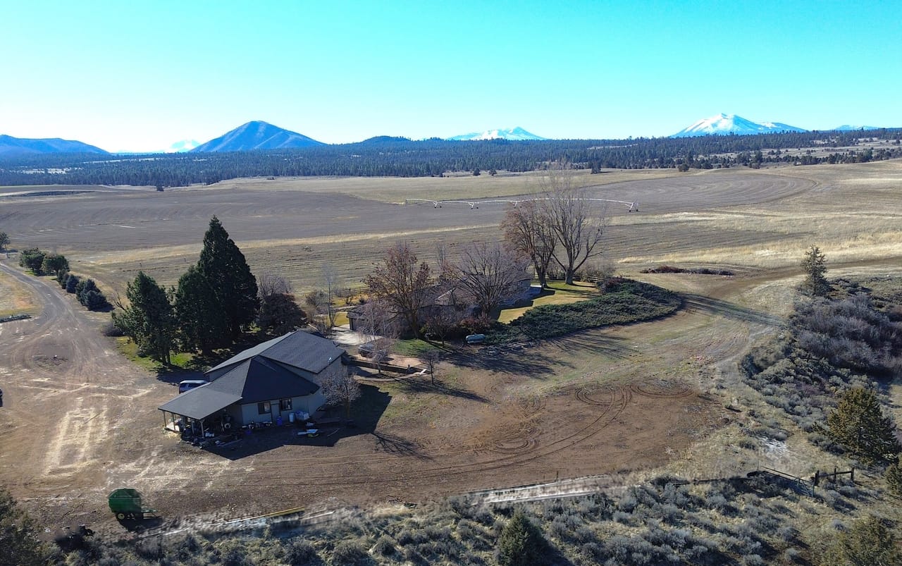 Listing Image 195