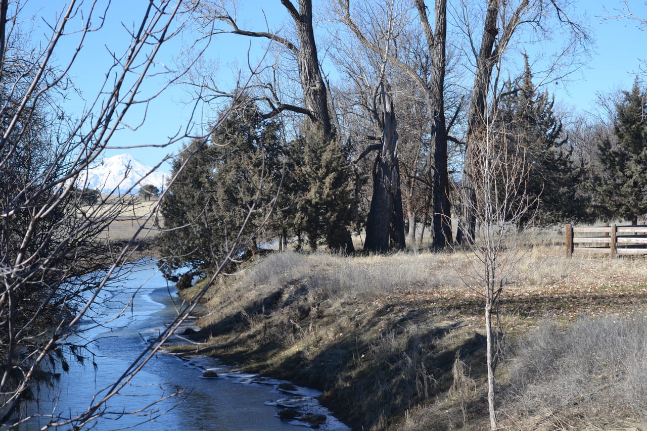 Listing Image 345