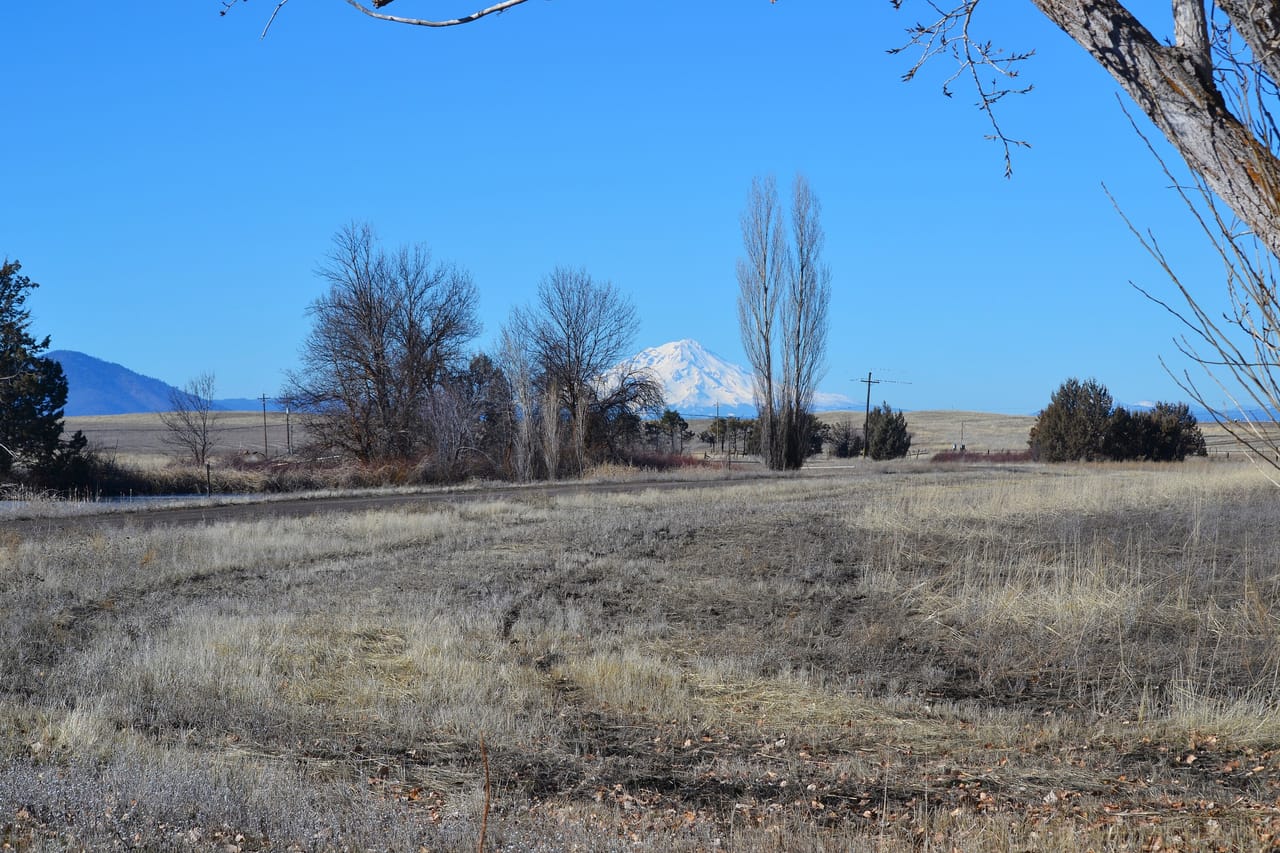 Listing Image 351