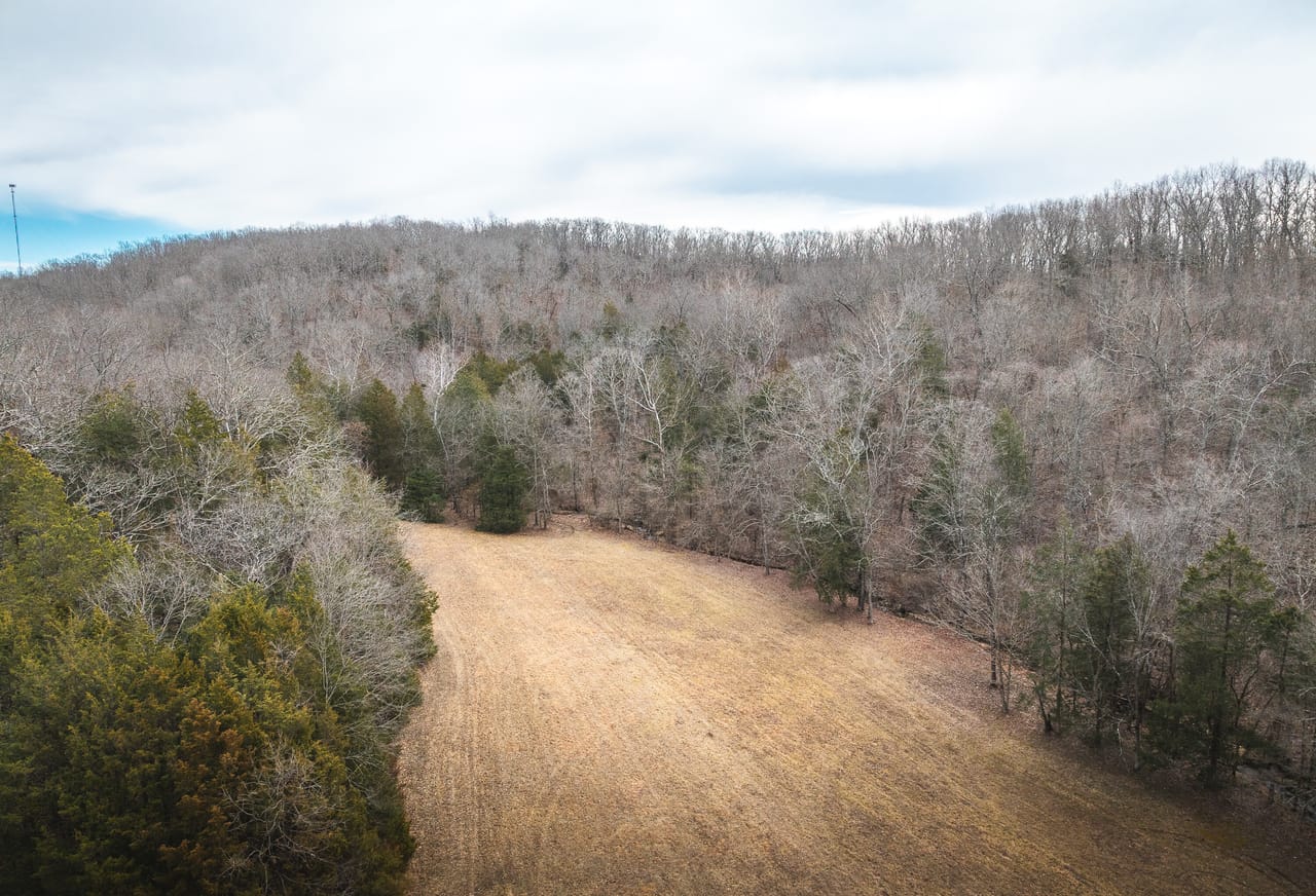 Listing Image 136