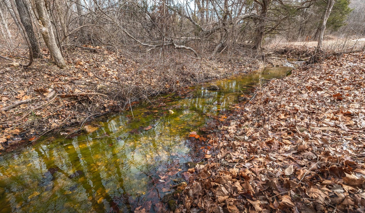 Listing Image 69
