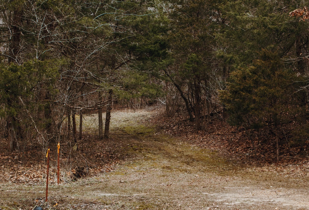 Listing Image 116