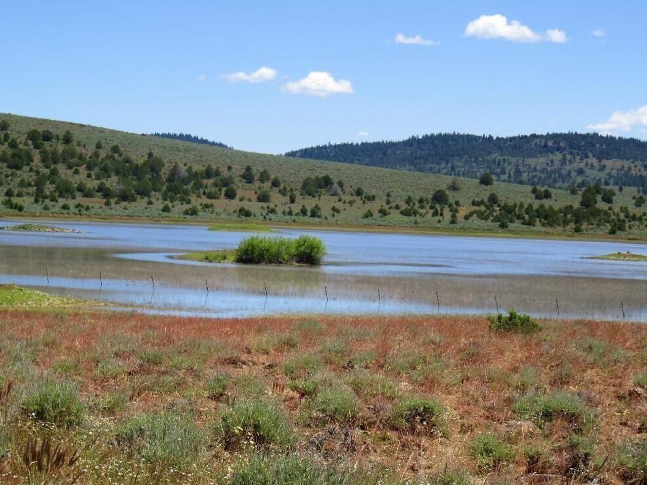 Dillon Lake