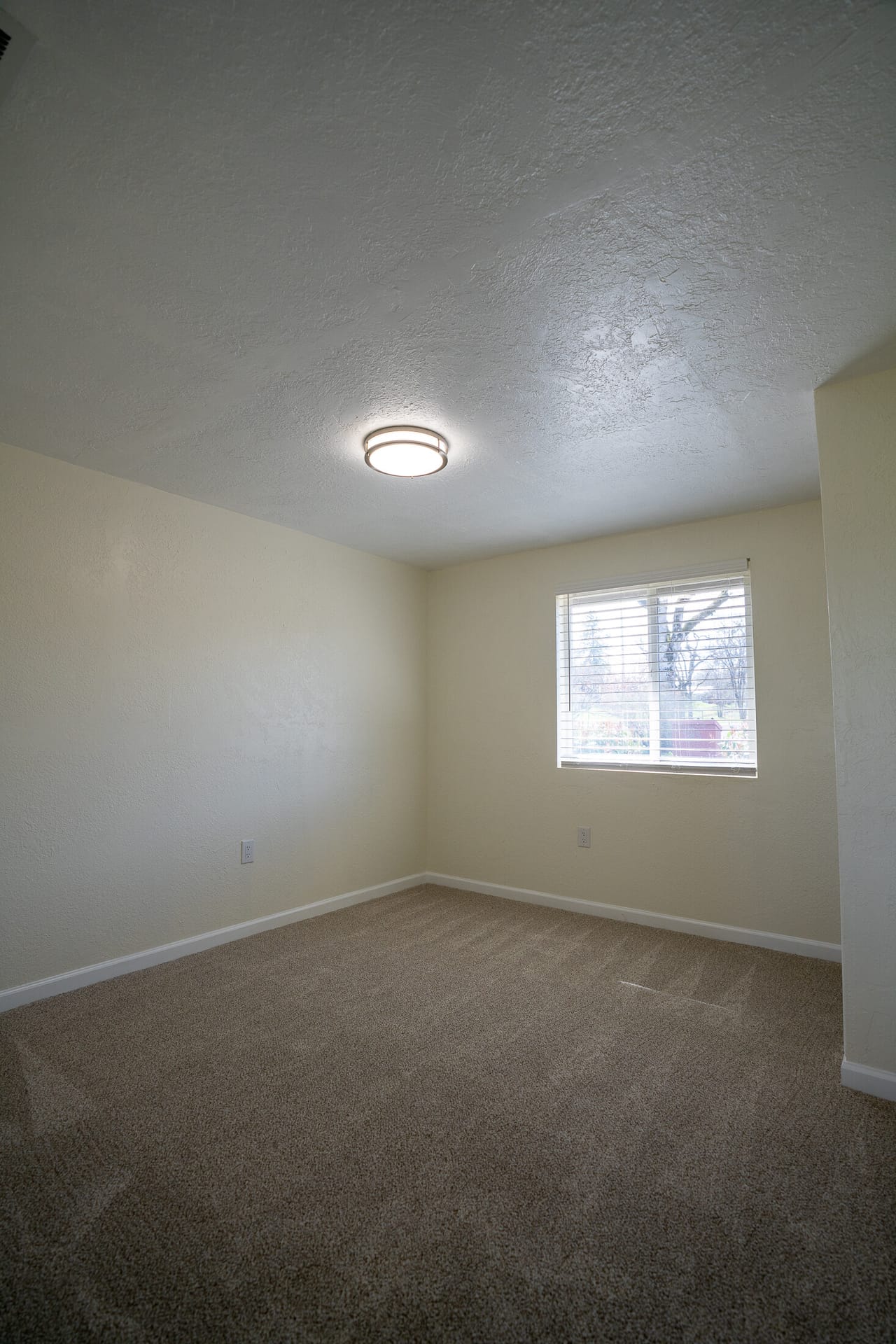 Listing Image 30