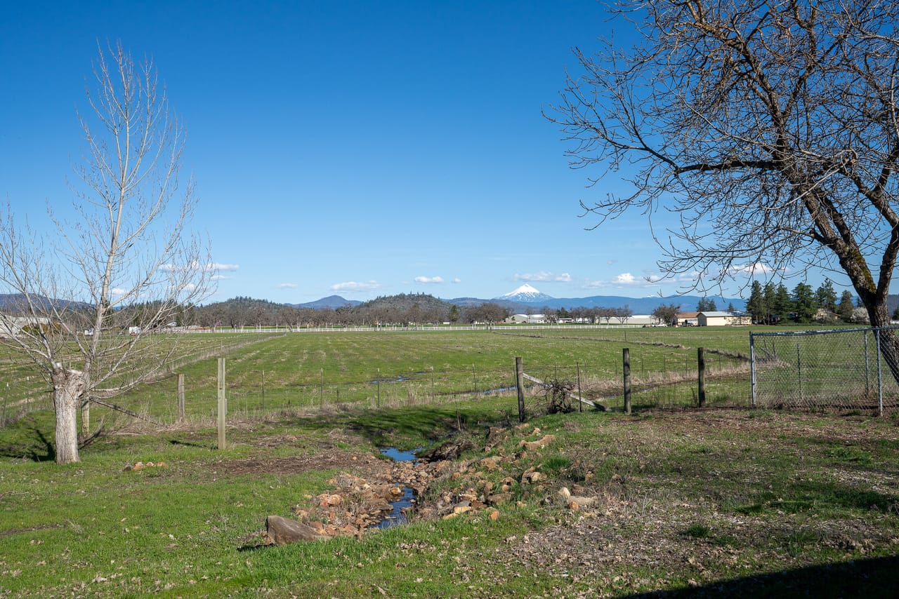 Listing Image 39