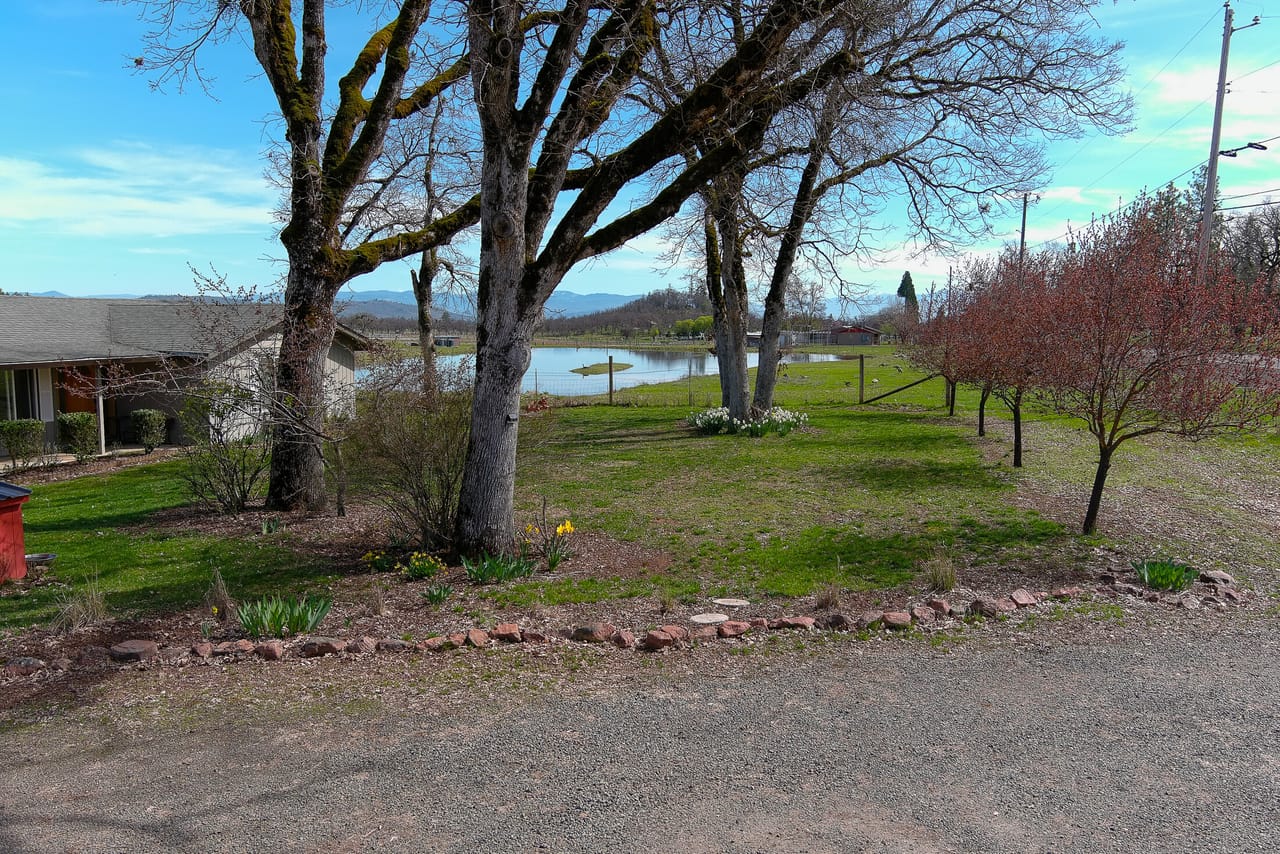 Listing Image 44