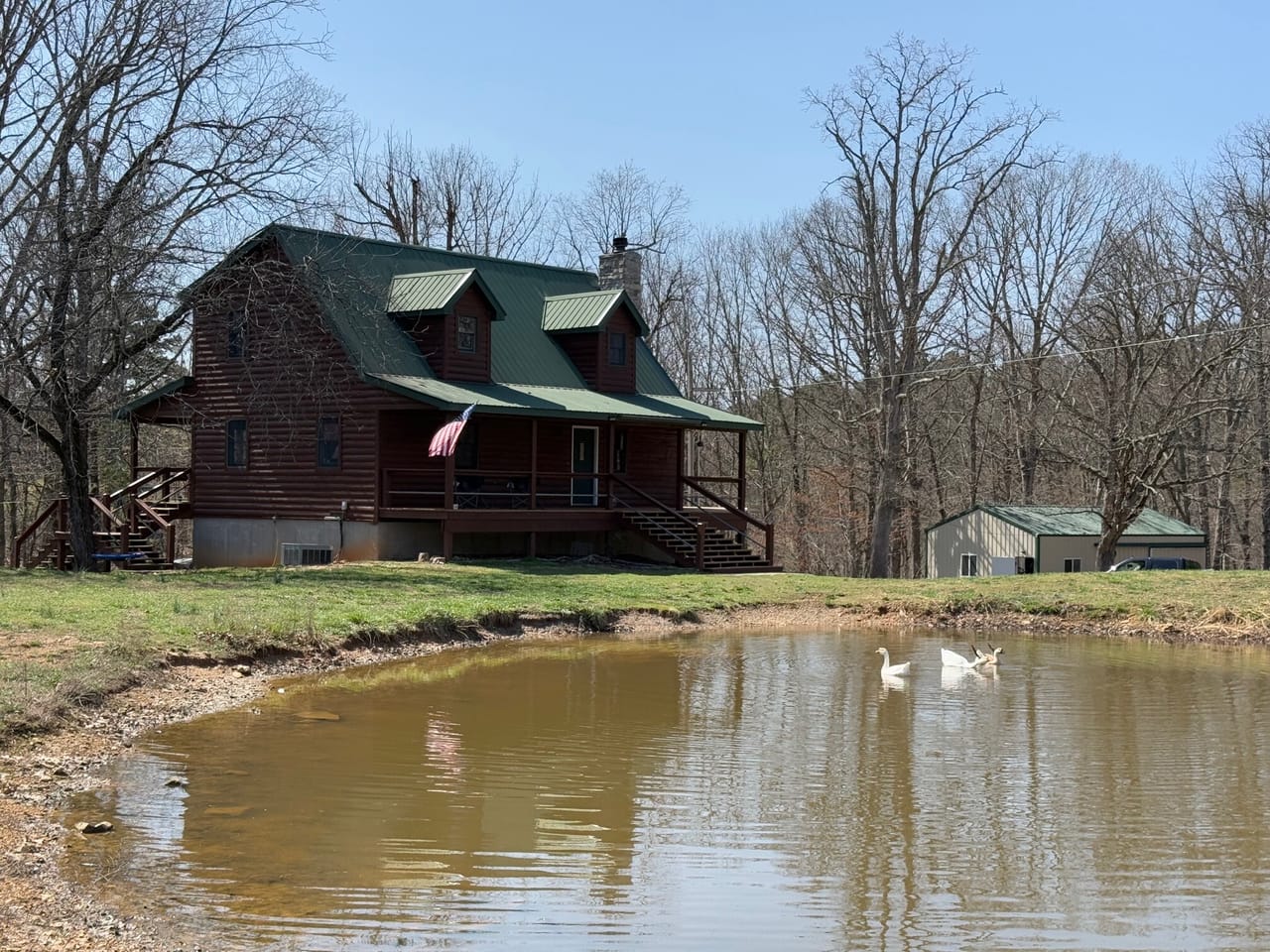 Cabin Surrounded