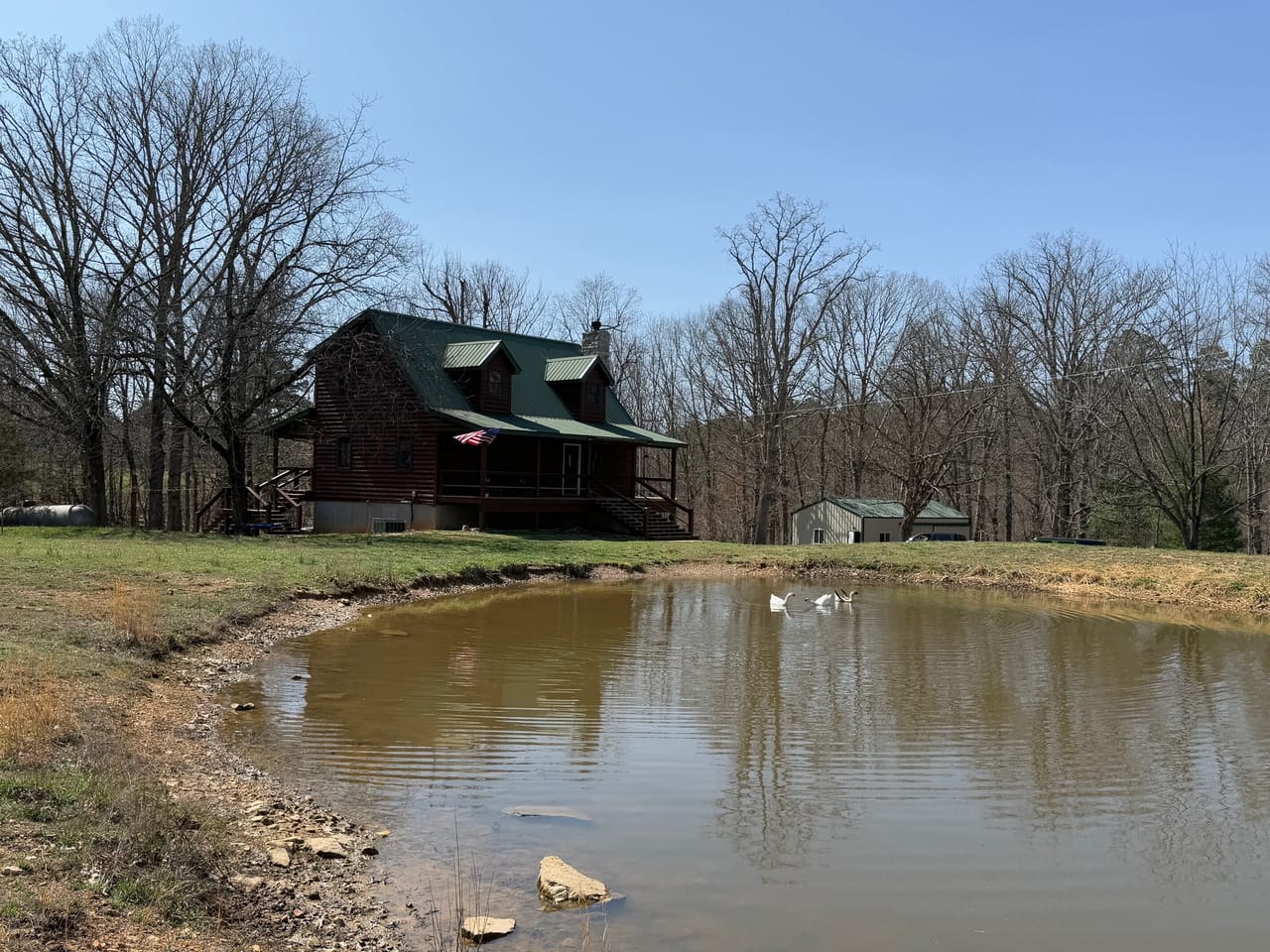 Cabin Surrounded