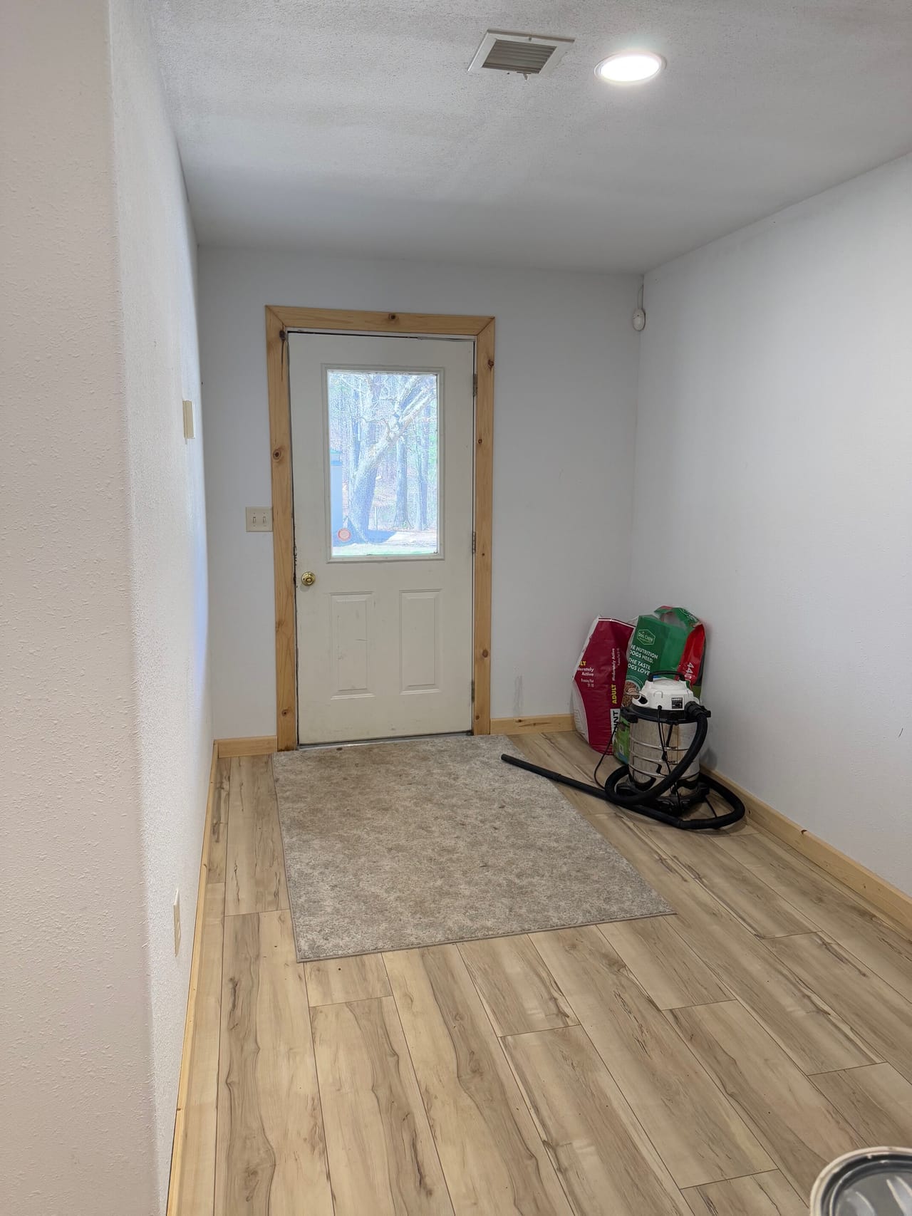 Cabin Surrounded