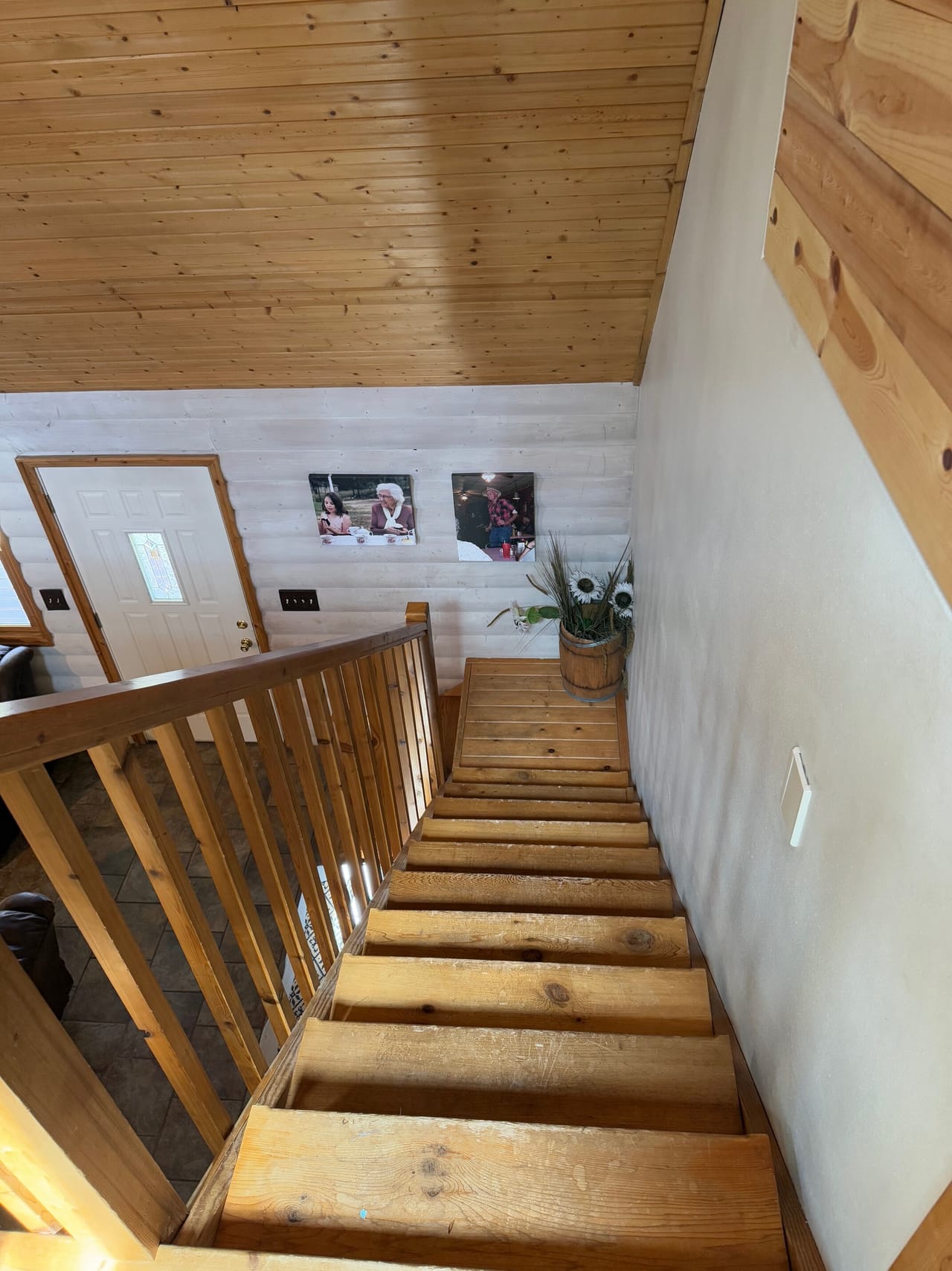 Cabin Surrounded