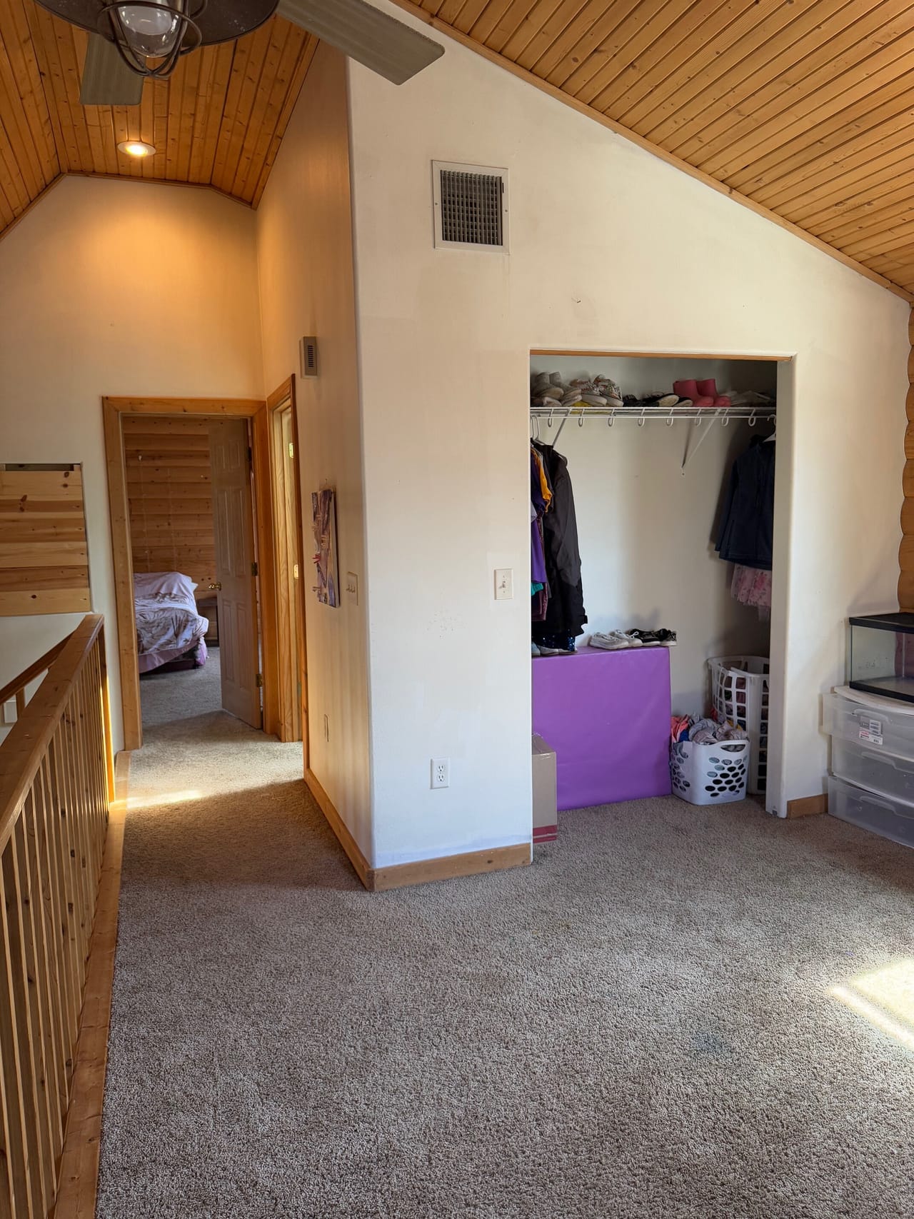 Cabin Surrounded