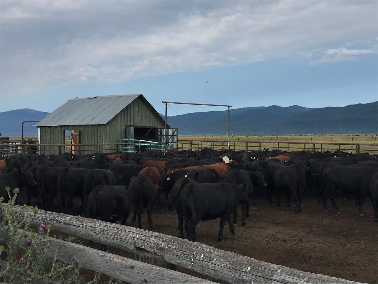 Listing Image 8