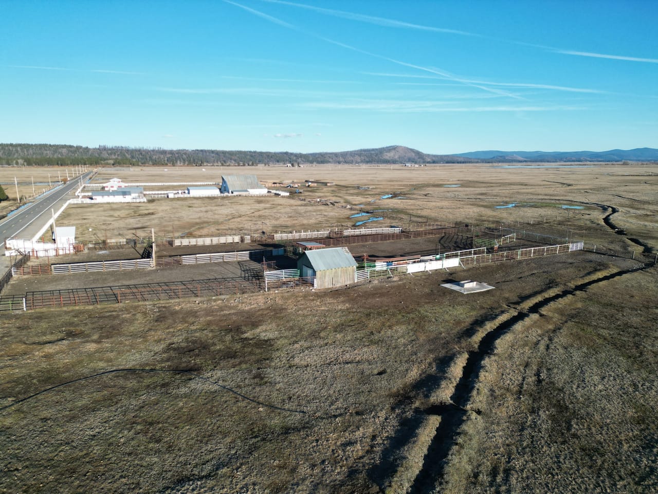 Listing Image 20