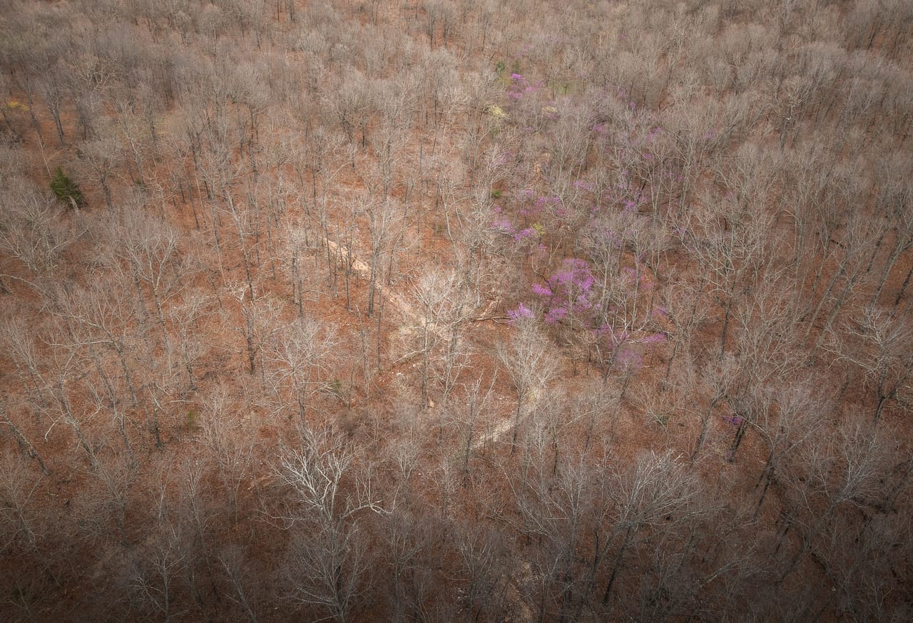 Majestic Views Campground