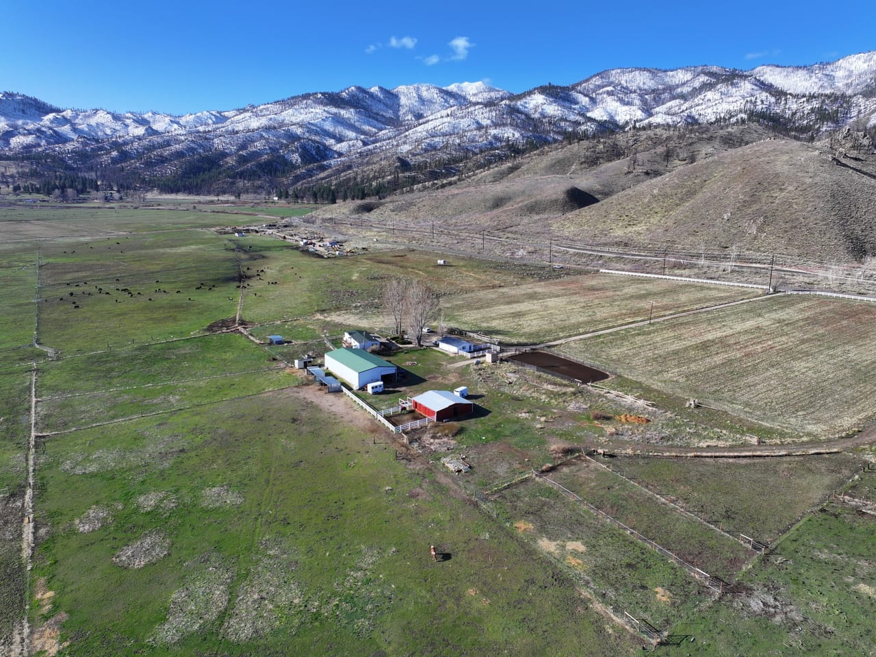Listing Image 7