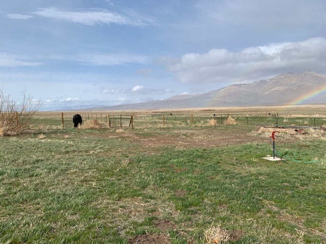 Listing Image 34