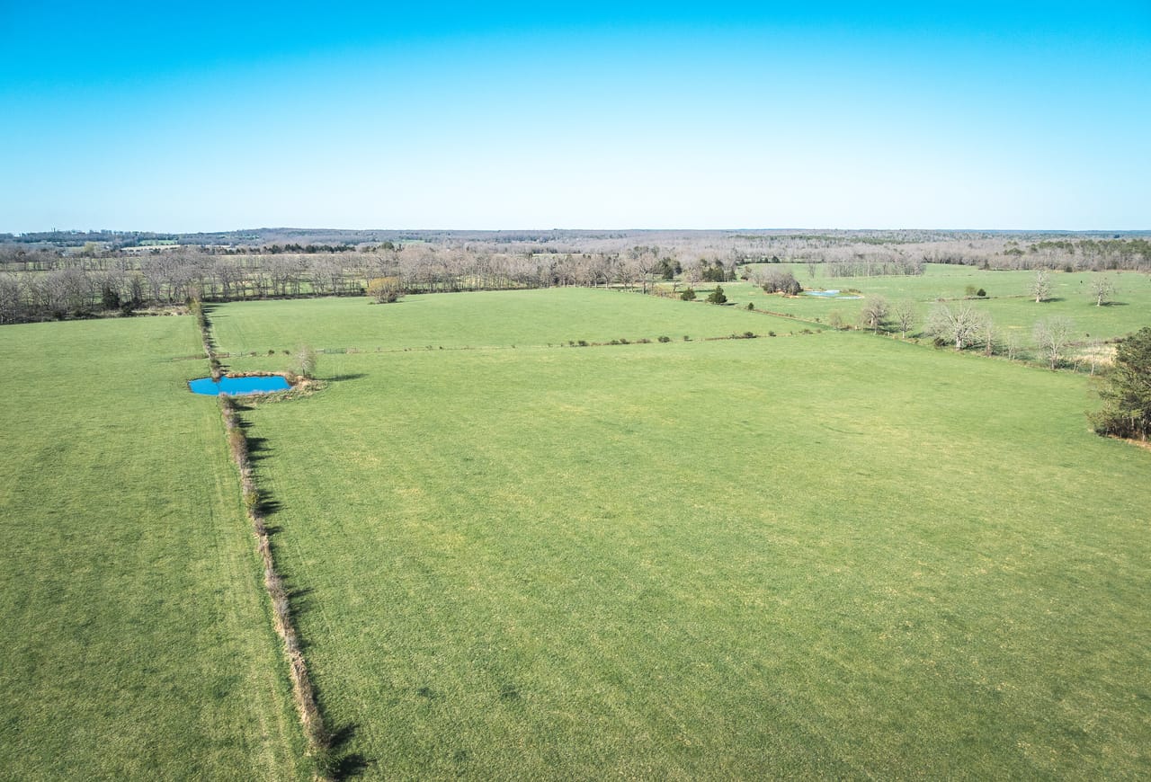 Listing Image 49