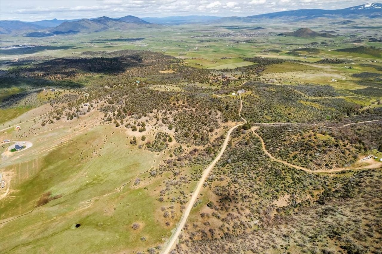 Shamrock Acres Estate