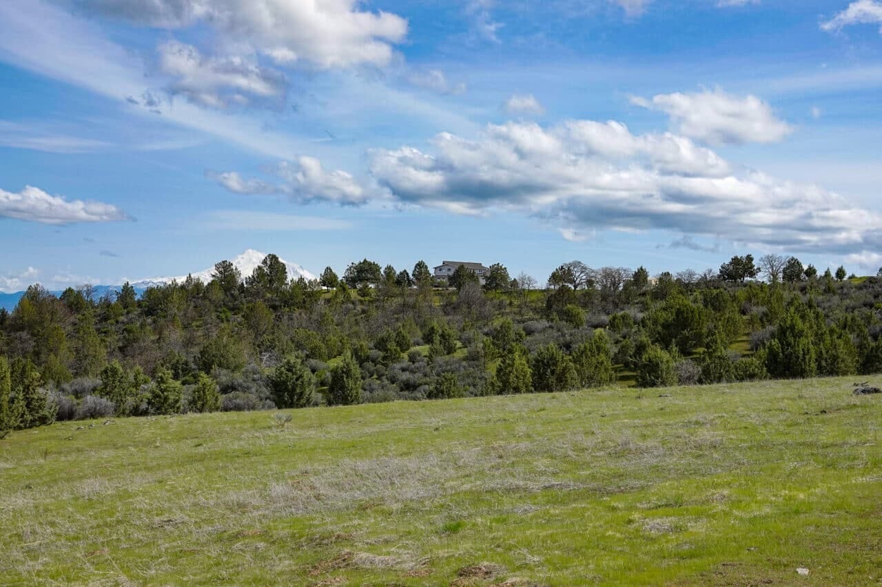 Shamrock Acres Estate