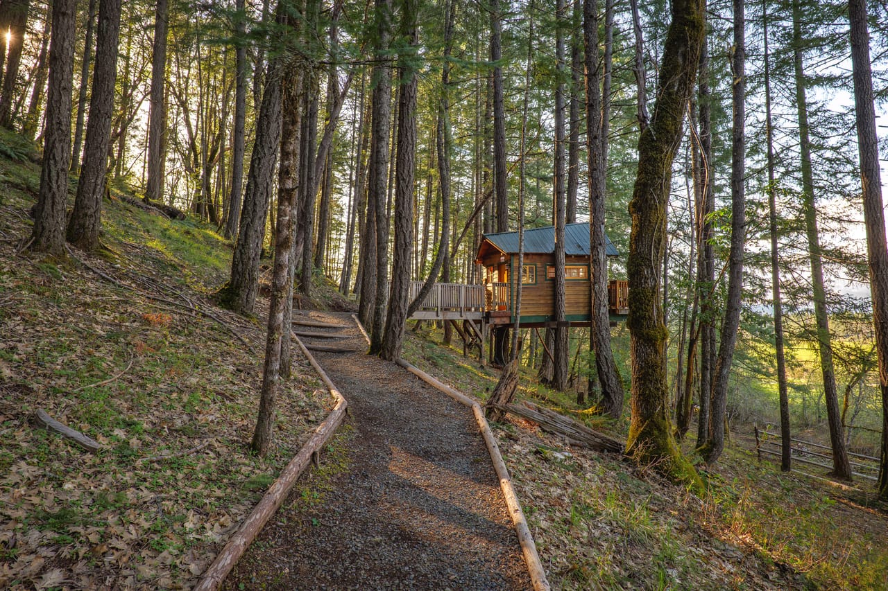 Listing Image 86