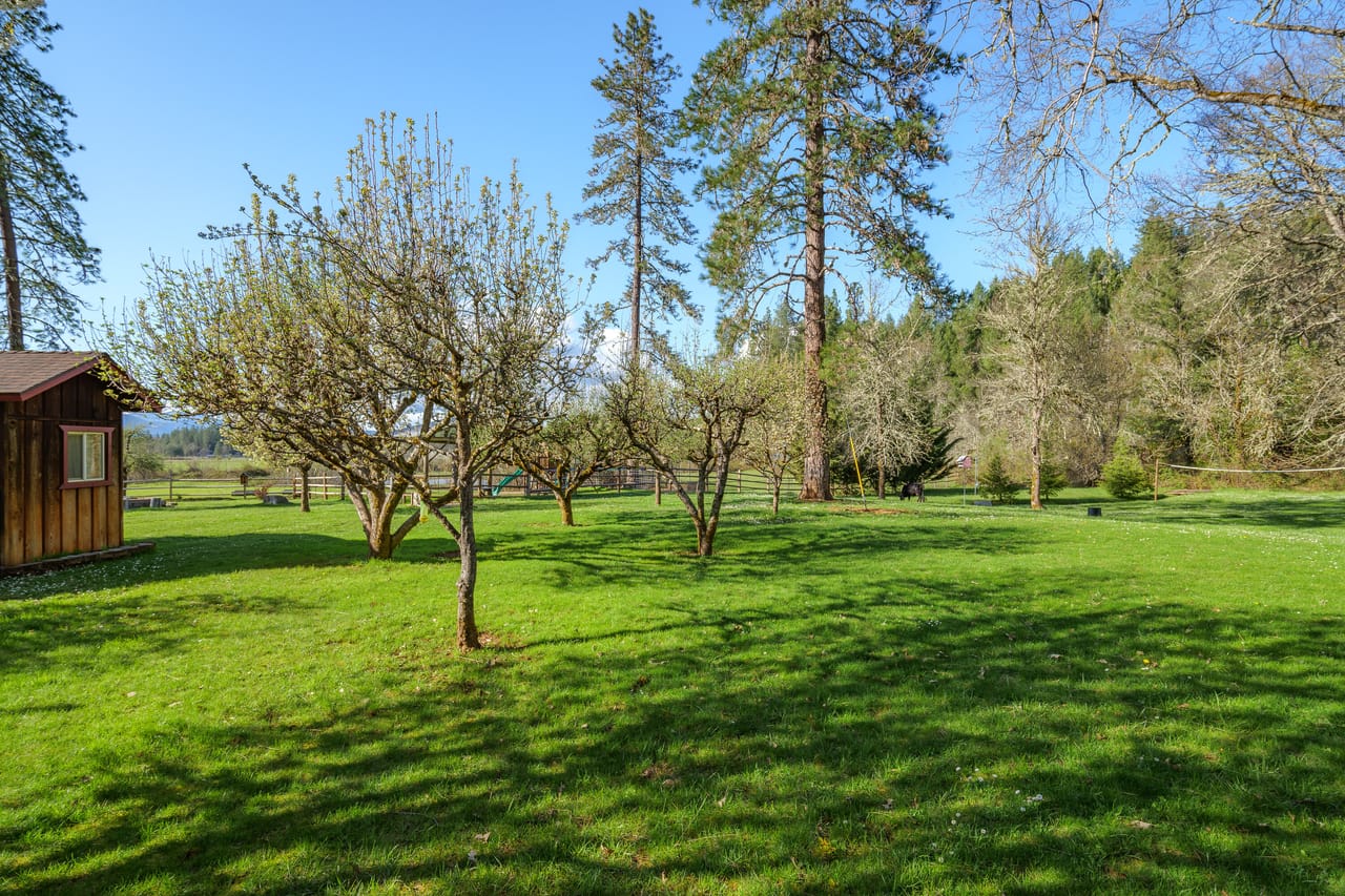 Listing Image 117