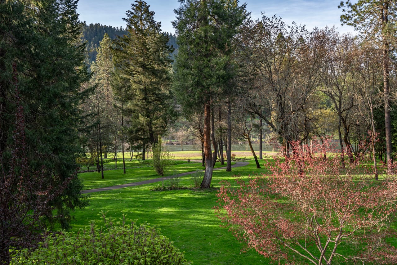 Listing Image 87