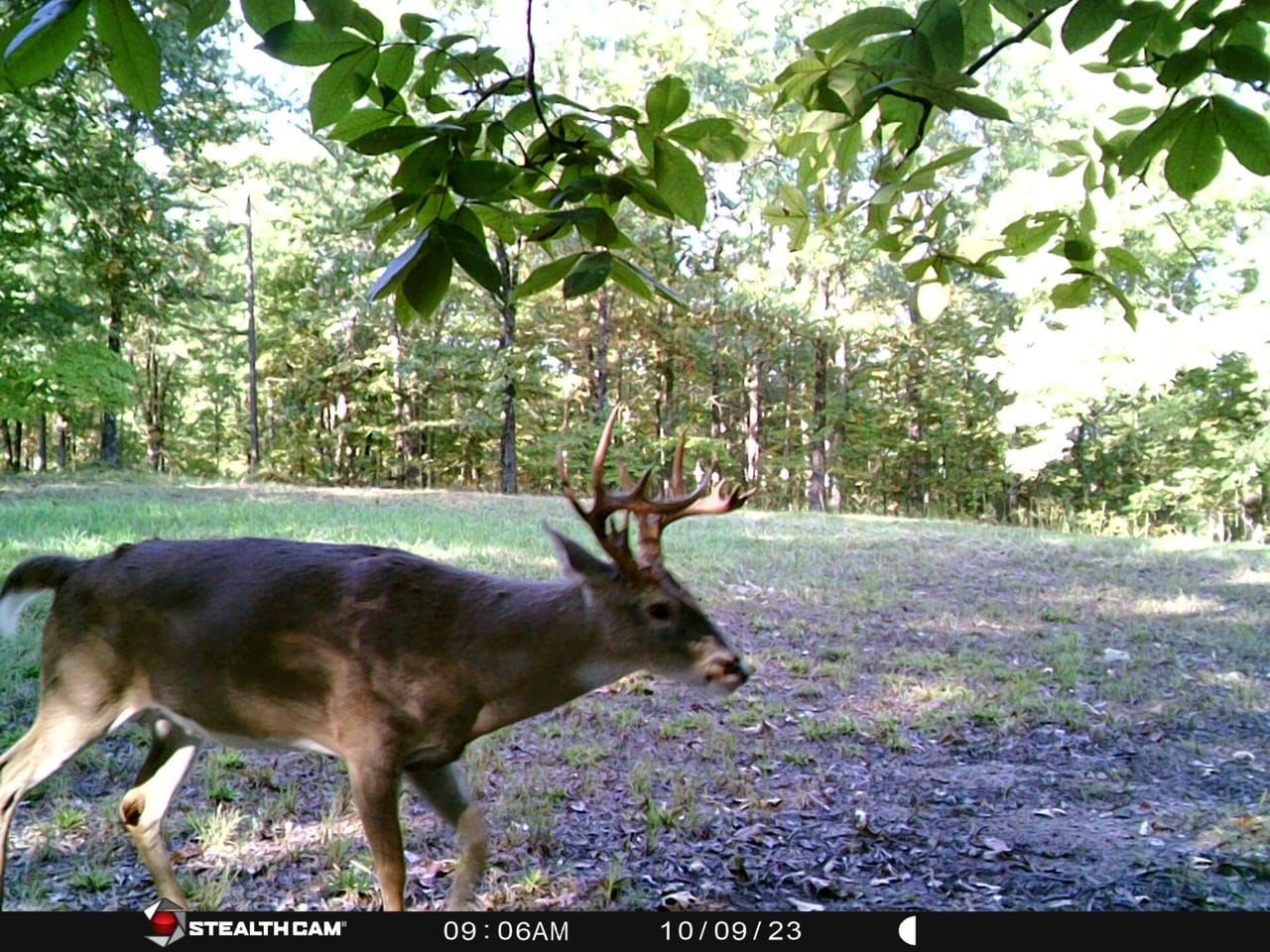 Listing Image 87