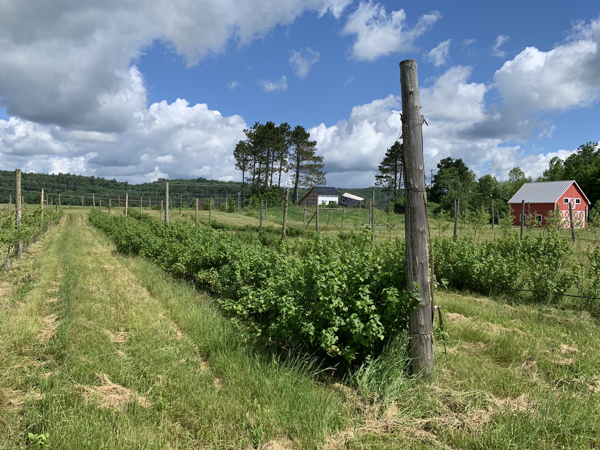 Listing Image 31