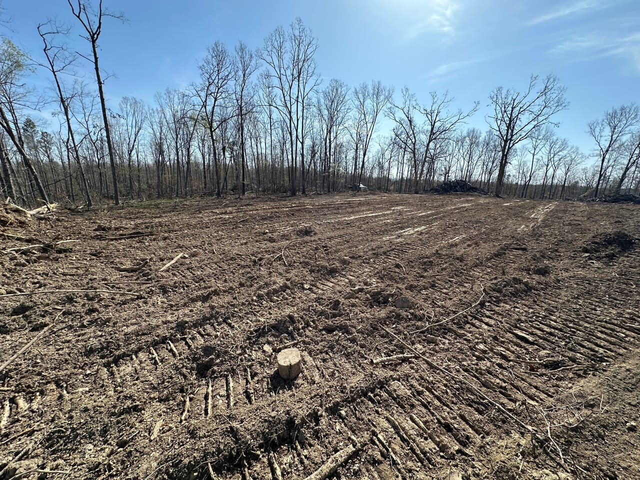 Land & Timber 24