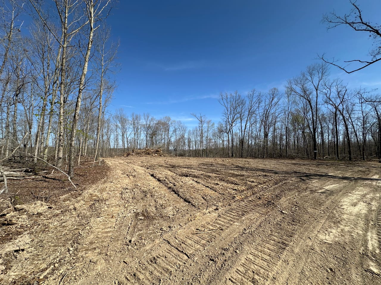 Land & Timber 24