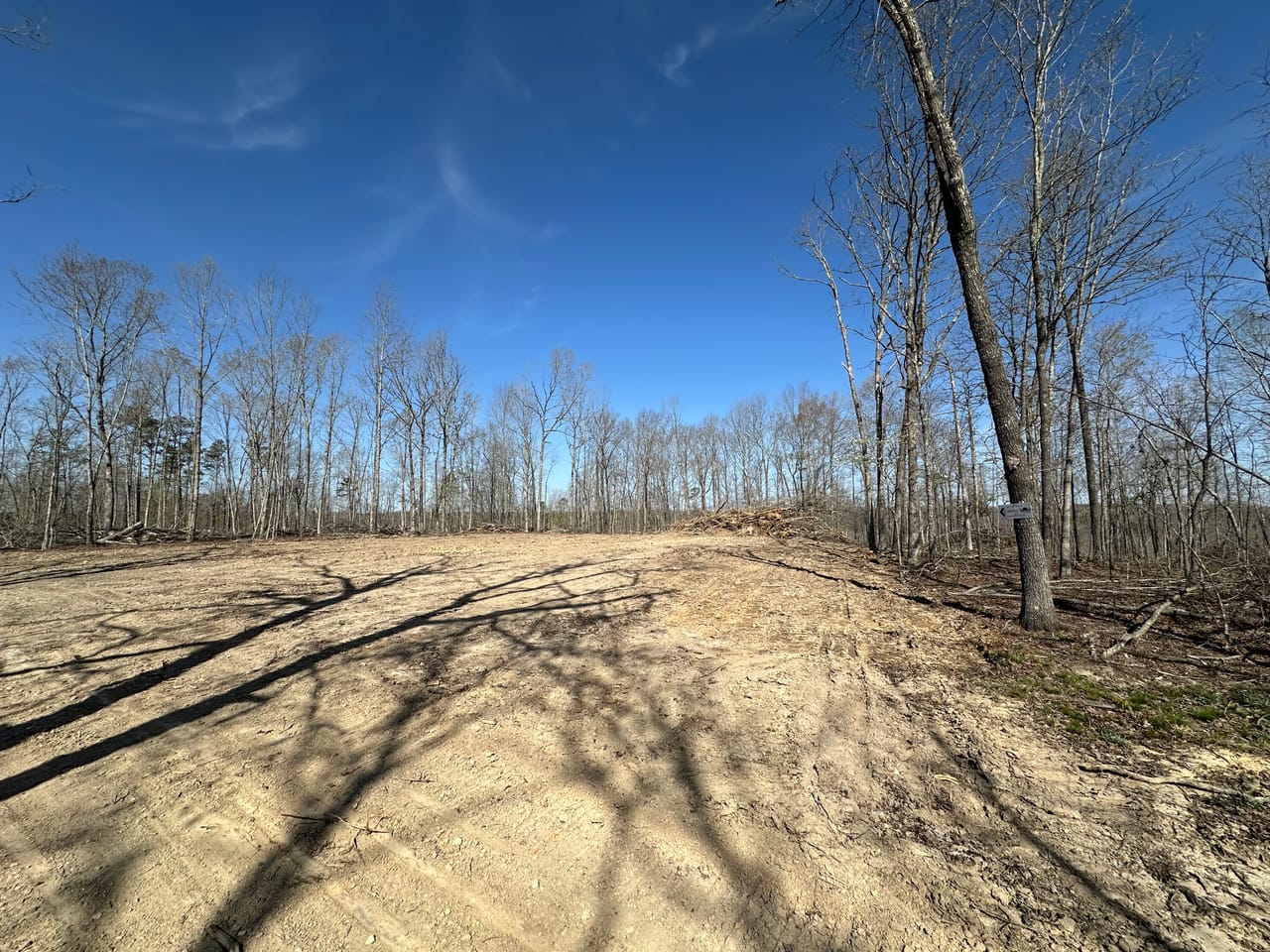 Land & Timber 24