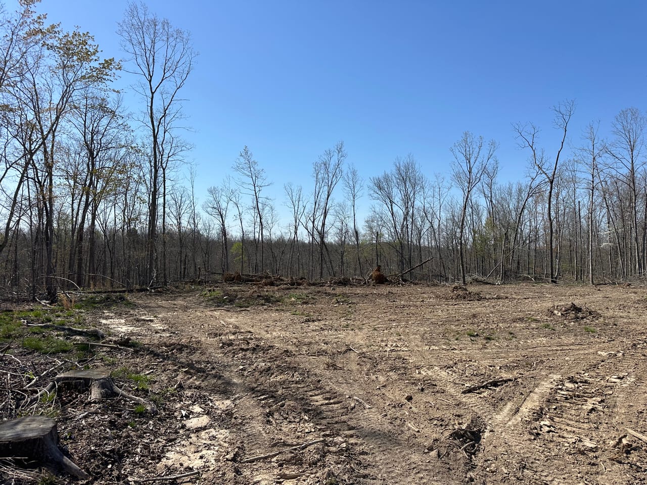 Land & Timber 31