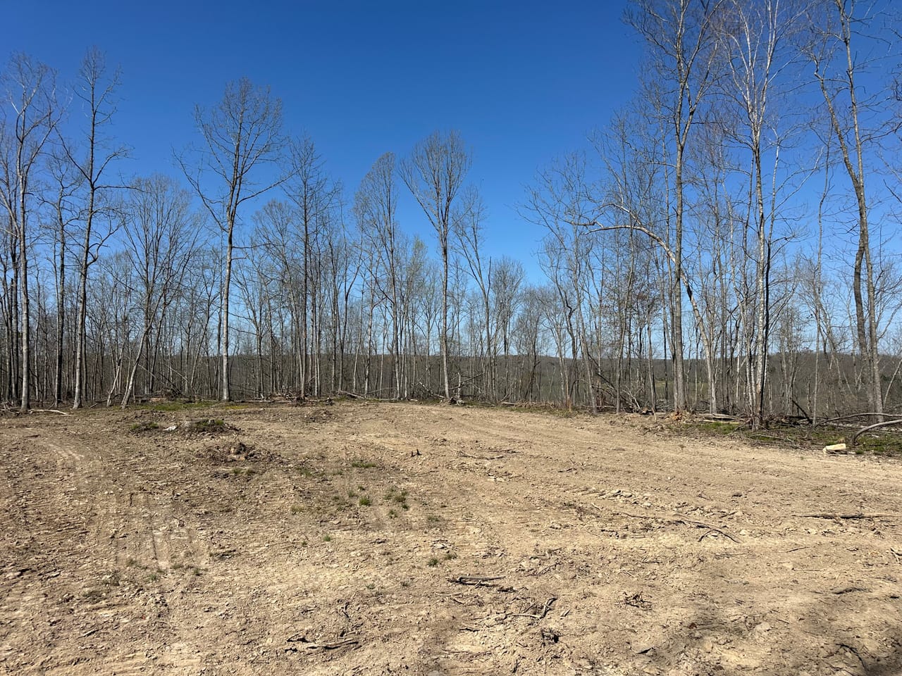 Land & Timber 31