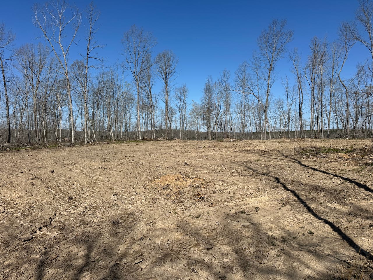Land & Timber 31