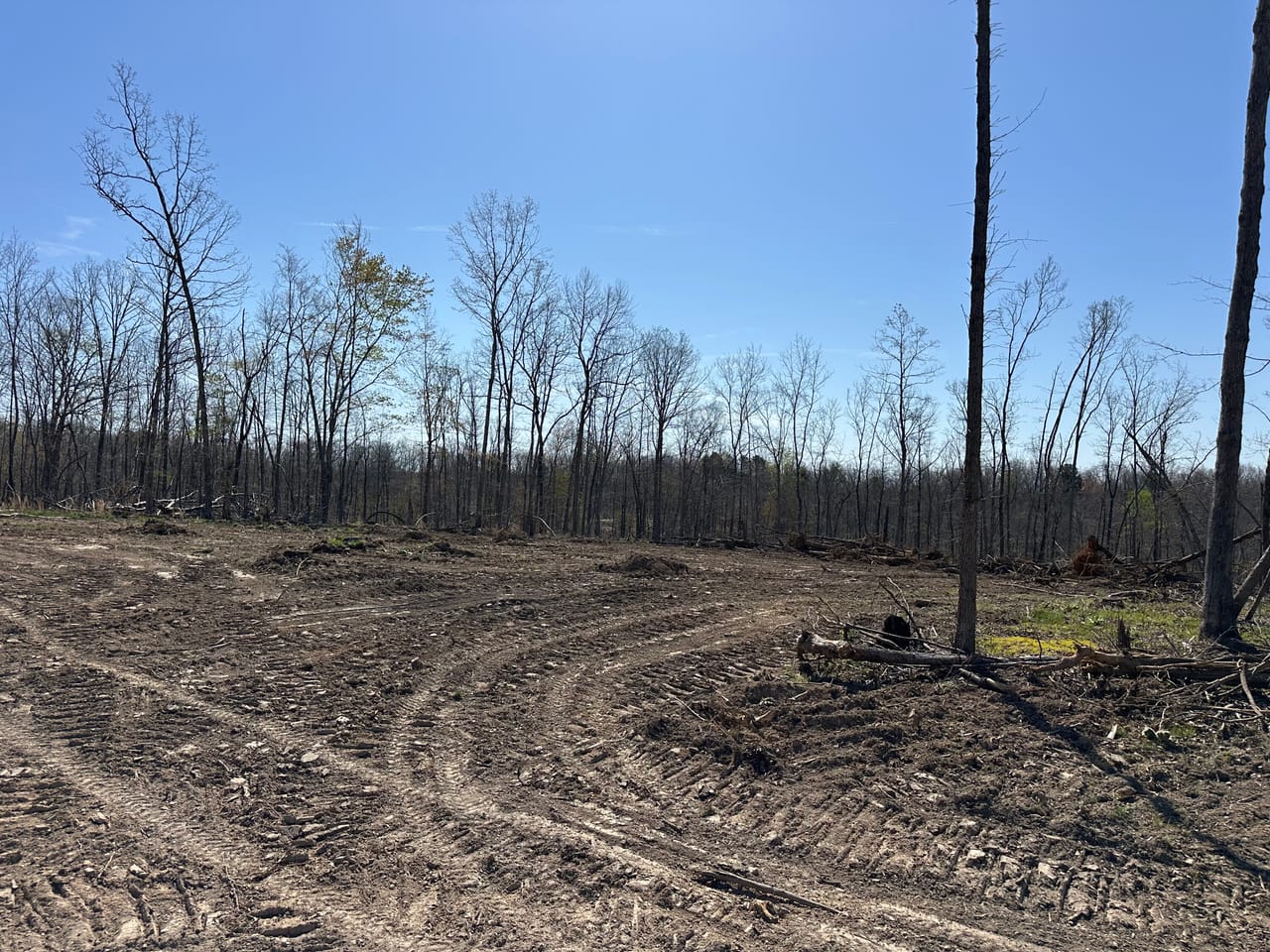 Land & Timber 31
