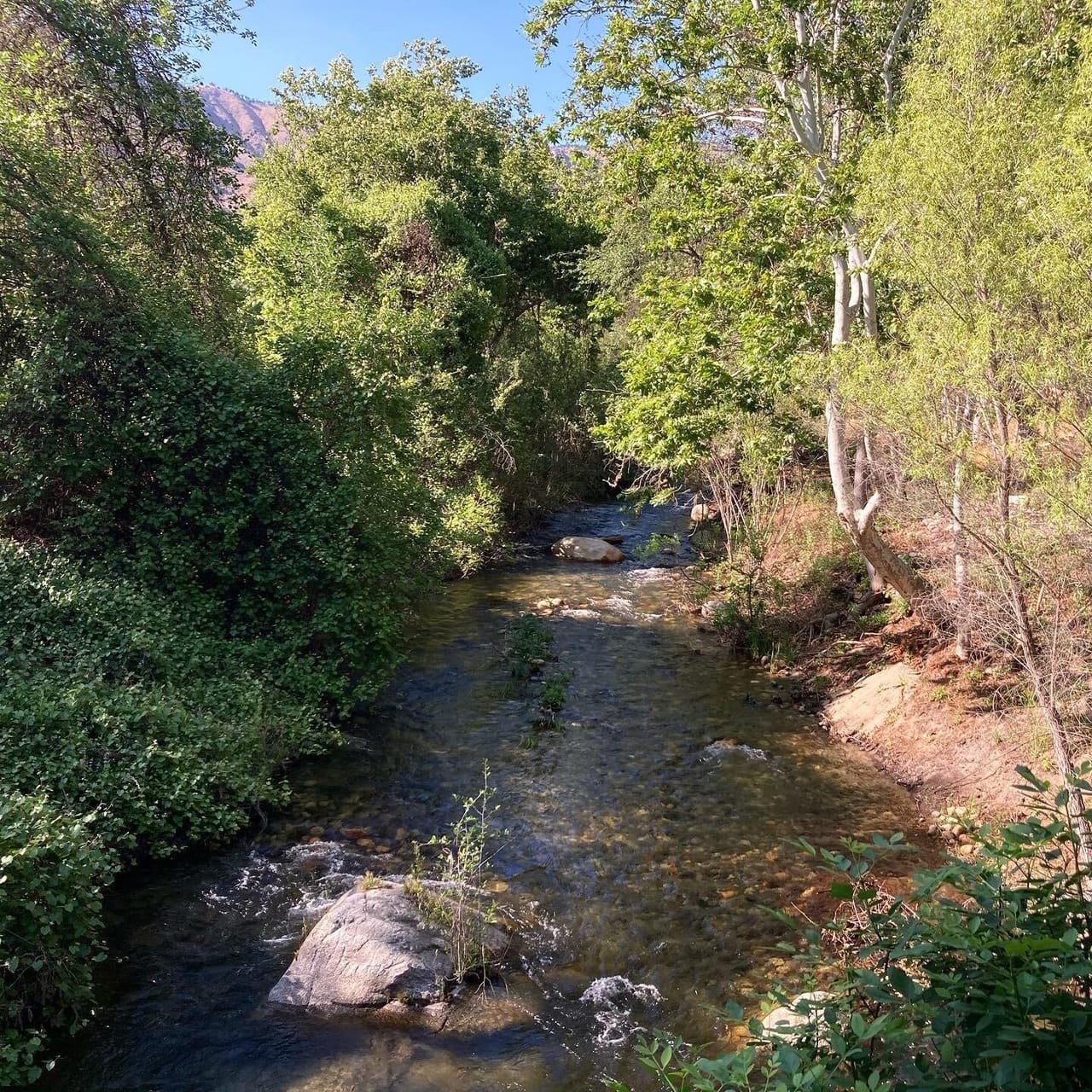 Listing Image 47