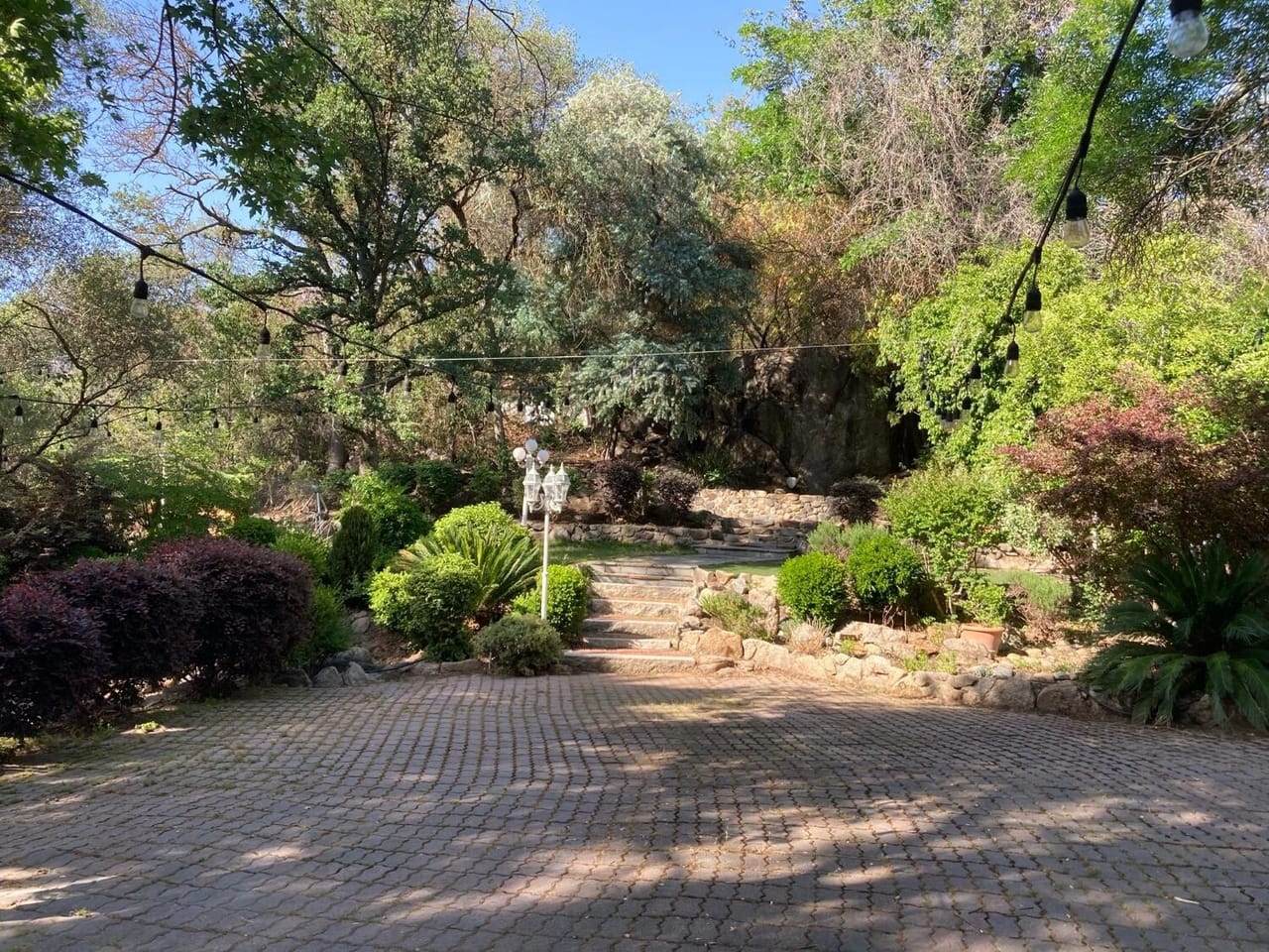 Listing Image 52