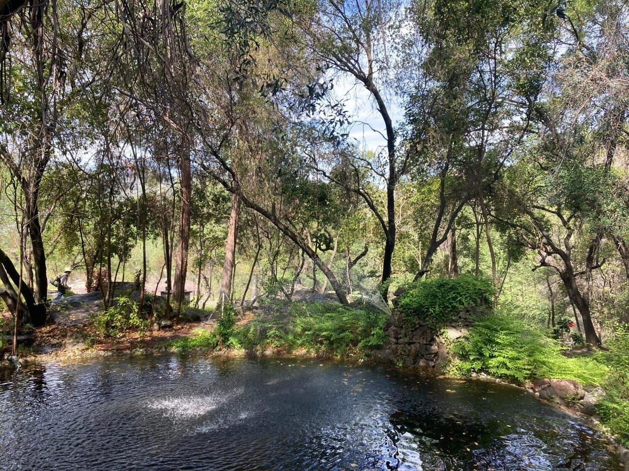 Listing Image 55
