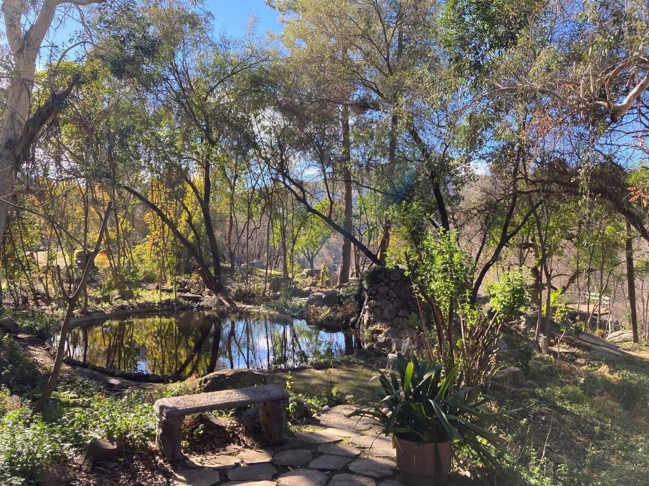Listing Image 106