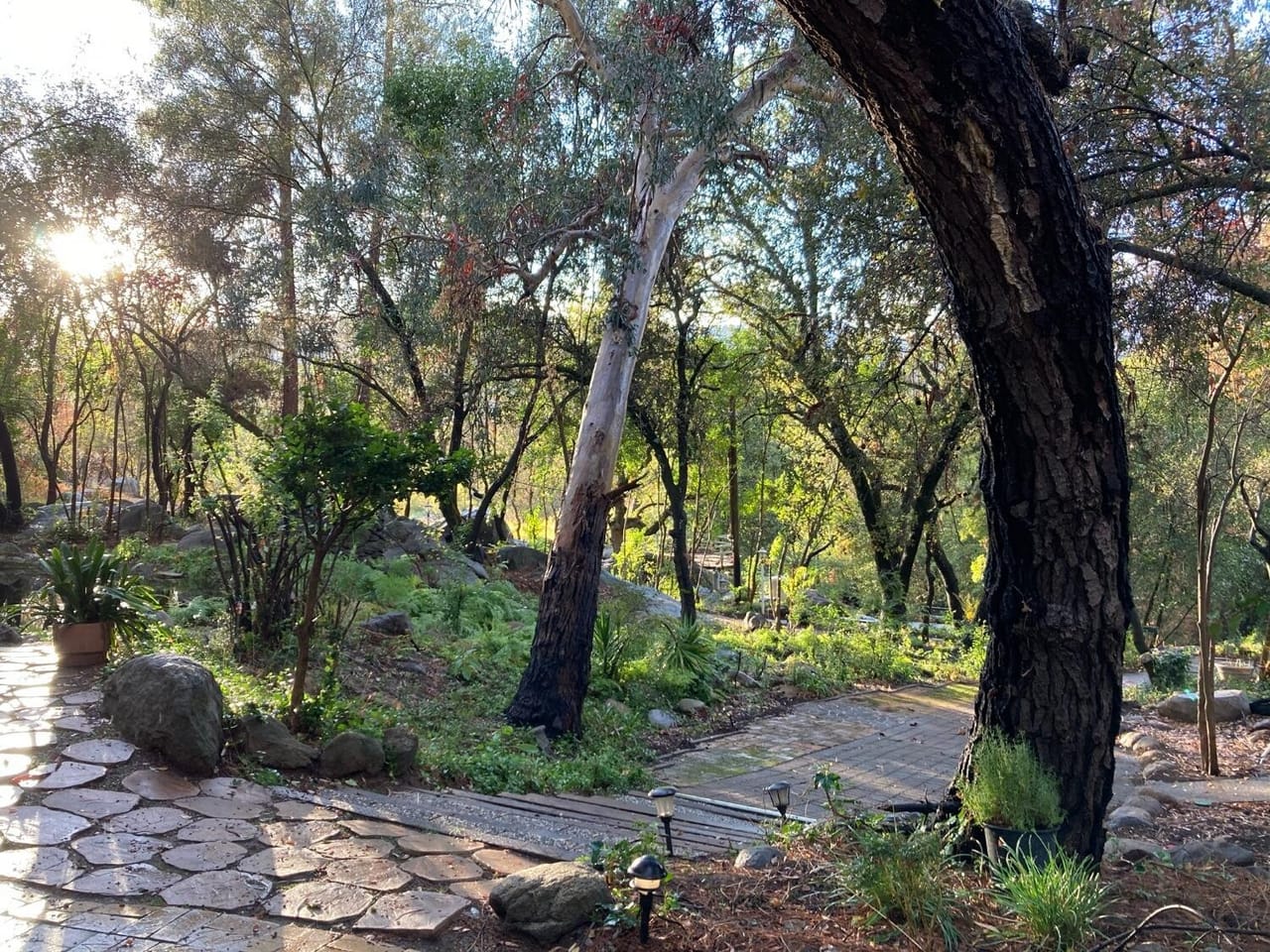 Listing Image 116