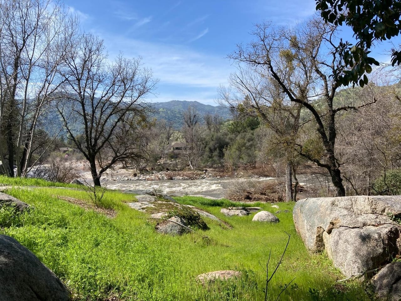 Listing Image 128