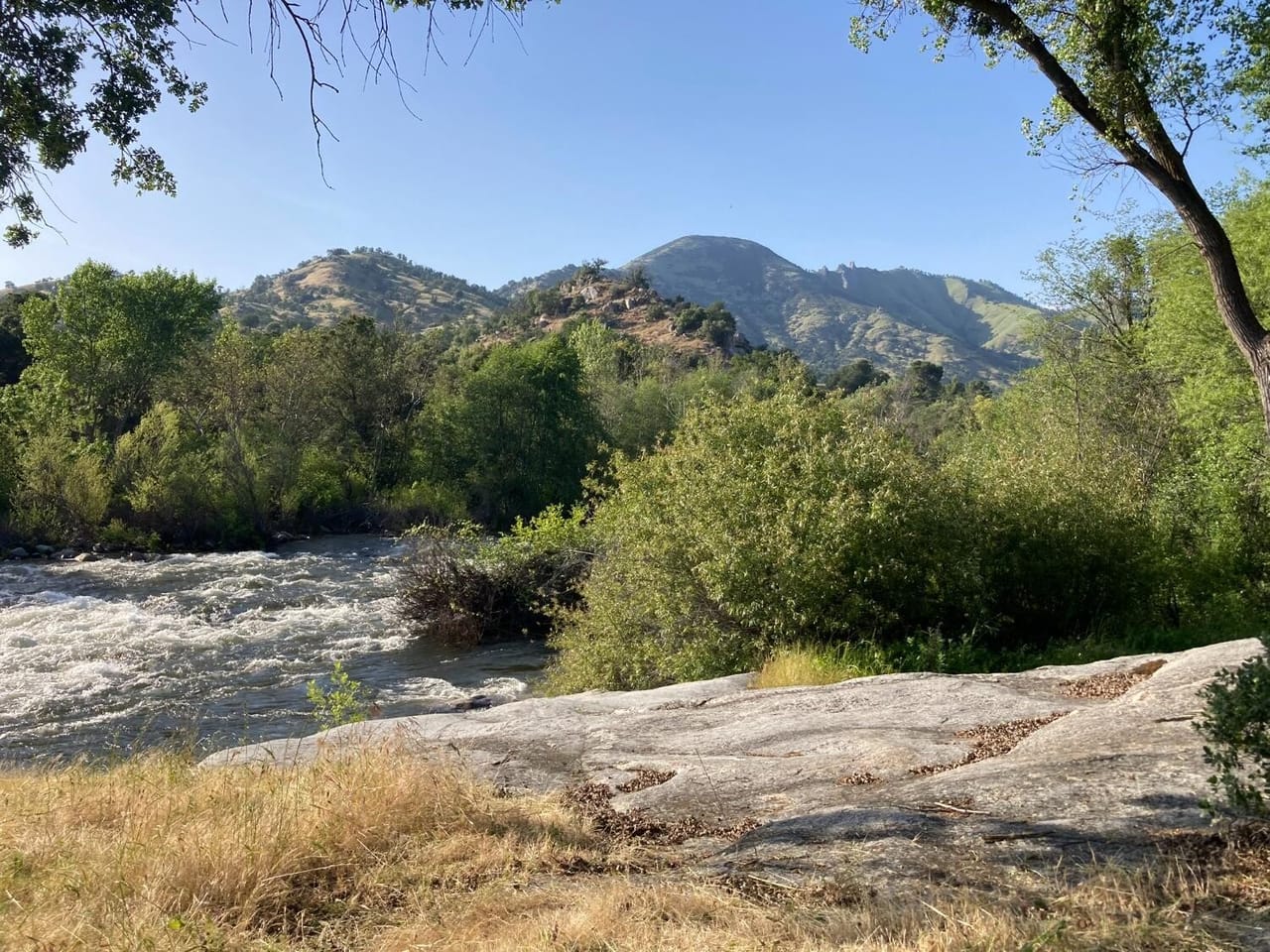 Listing Image 129